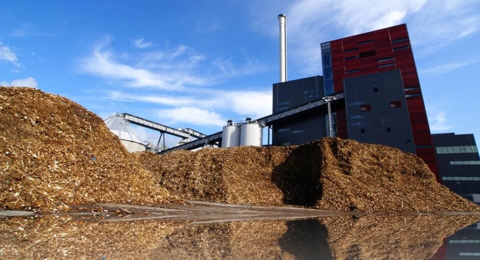 Biomass Energy: Turning Waste into Power 7 shutterstock 65872678 - Cebu Spotlight