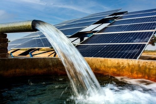 SelTech Co. Ltd. is investing $100 million in a 100-megawatt agrivoltaic solar farm in Sogod, Cebu, blending renewable energy with agriculture.