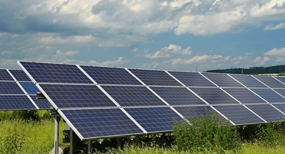 Eco-Conscious Tourism Gets a Boost in Bohol 1 shutterstock 2475546193 - Cebu Spotlight