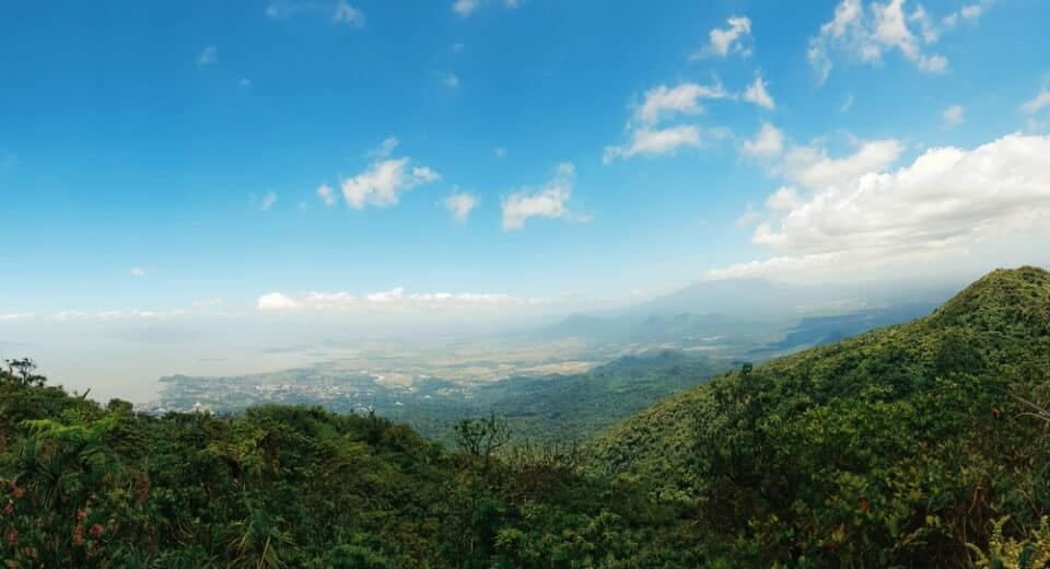 AboitizPower Strengthens Environmental Protection 4 shutterstock 455955328 - Cebu Spotlight