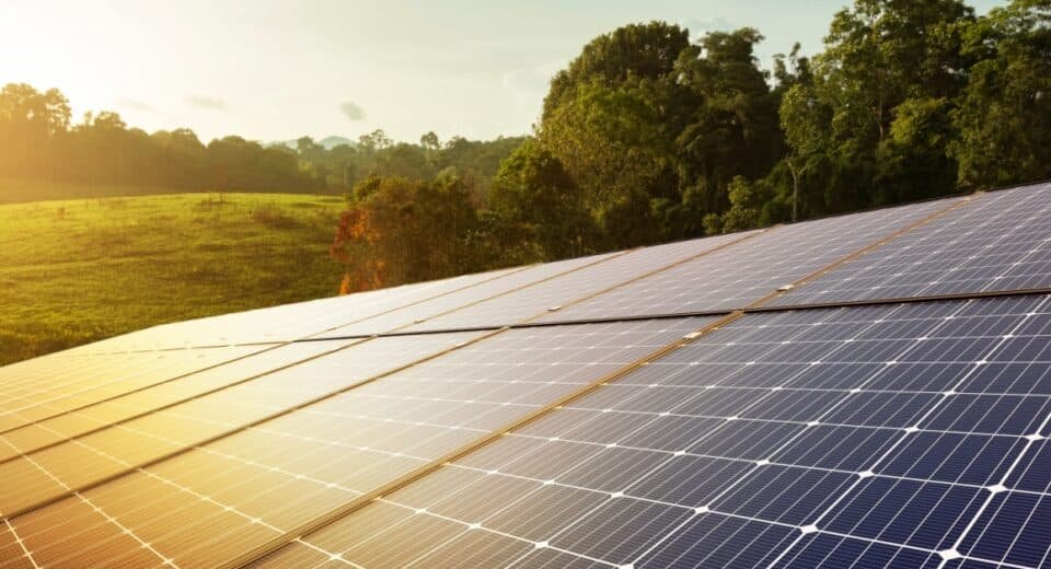 Leyte Emerges as a Key Player in Clean Energy Development