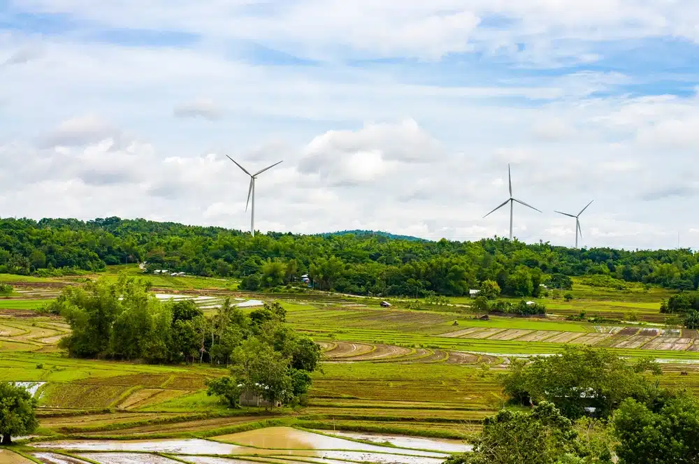 Energy Crunch Looms for Western Visayas 1 Wind turbines