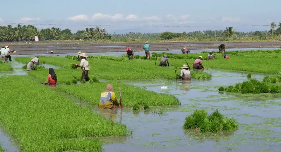 Marcos Backs ₱100-M Solar Irrigation in Ormoc 1 Marcos Backs ₱100-M Solar Irrigation in Ormoc