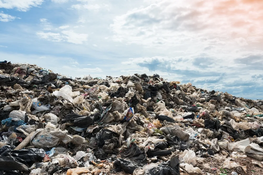 Binaliw Residents Oppose WTE As Cebu City Keeps Option Open 5 Binaliw Residents Oppose WTE As Cebu City Keeps Option Open