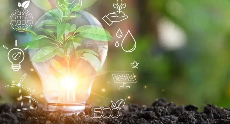 Is the Green Energy Auction Program Competitive Enough? PCC Flags Structural Weaknesses