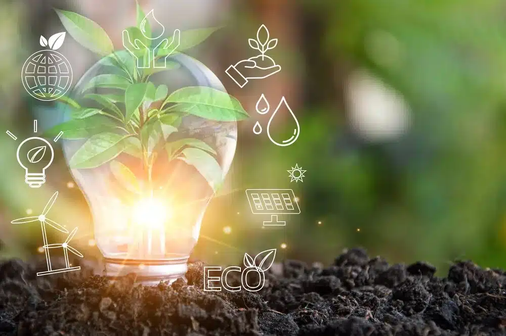 Is the Green Energy Auction Program Competitive Enough? PCC Flags Structural Weaknesses 1 Is the Green Energy Auction Program Competitive Enough? PCC Flags Structural Weaknesses