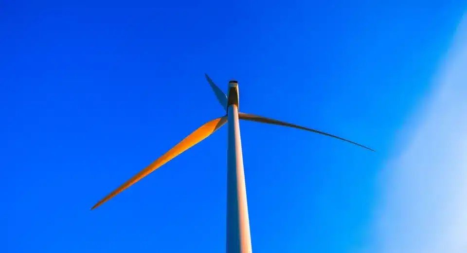 Vena Removes 5 Wind Turbines From Calbayog Protected Area After Environmental Pushback 9 Vena Removes 5 Wind Turbines From Calbayog Protected Area After Environmental Pushback