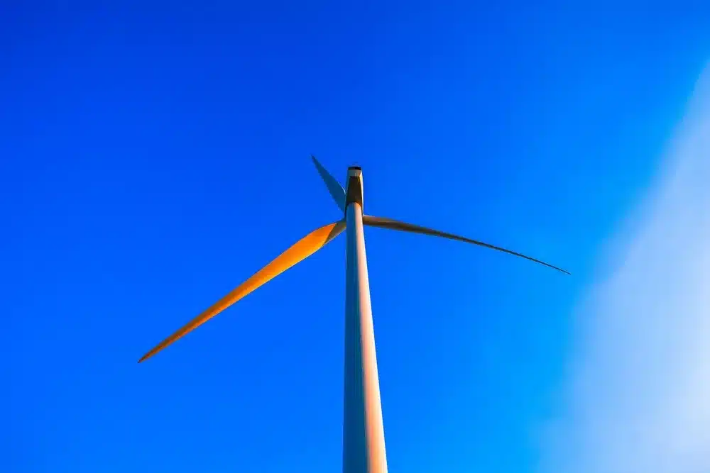 Vena Removes 5 Wind Turbines From Calbayog Protected Area After Environmental Pushback