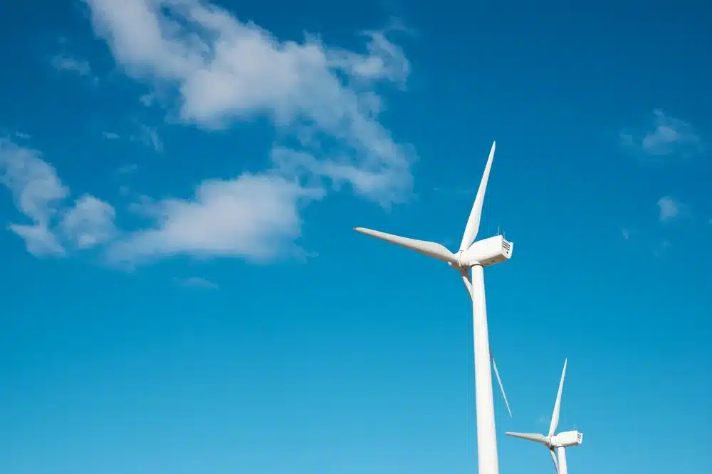 Cebu Backs 80-MW Alegria Wind Farm To Strengthen Power Supply