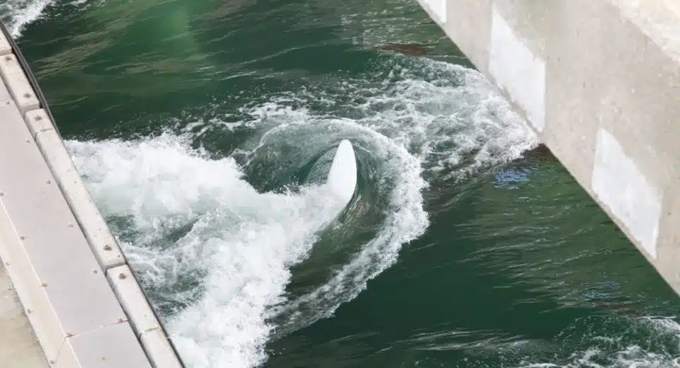 Tidal Energy Could Strengthen Philippine Energy Security, Ateneo Researchers Say 6 Tidal Energy Could Strengthen Philippine Energy Security, Ateneo Researchers Say