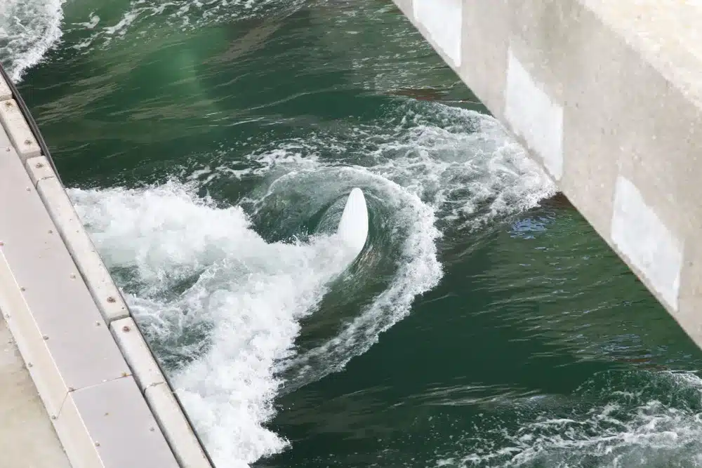 Tidal Energy Could Strengthen Philippine Energy Security, Ateneo Researchers Say