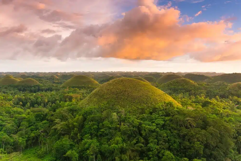 Bohol’s Clean Energy Push Cannot Outrun Its Need For Firm Power